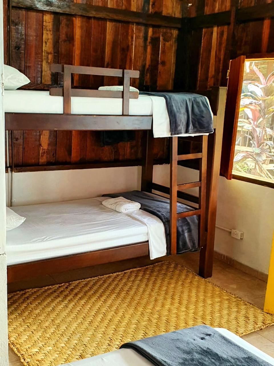 Tortuga Bay Eco Hotel El Valle  Room photo